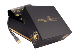 Visualizza il prodotto - Gold Note Firenze Silver USB
