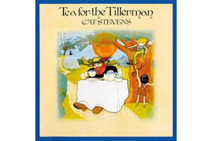 Visualizza la recensione - Cat Stevens Tea for the Tillerman