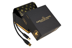 Visualizza il prodotto - Gold Note Firenze USB
