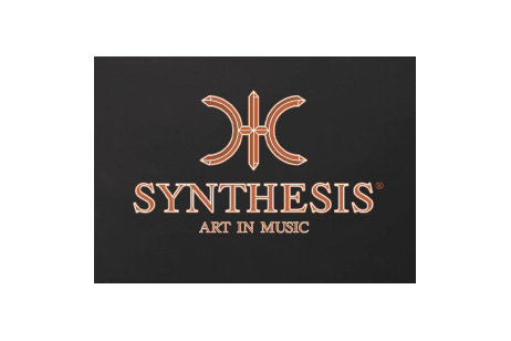 Logo Synthesis